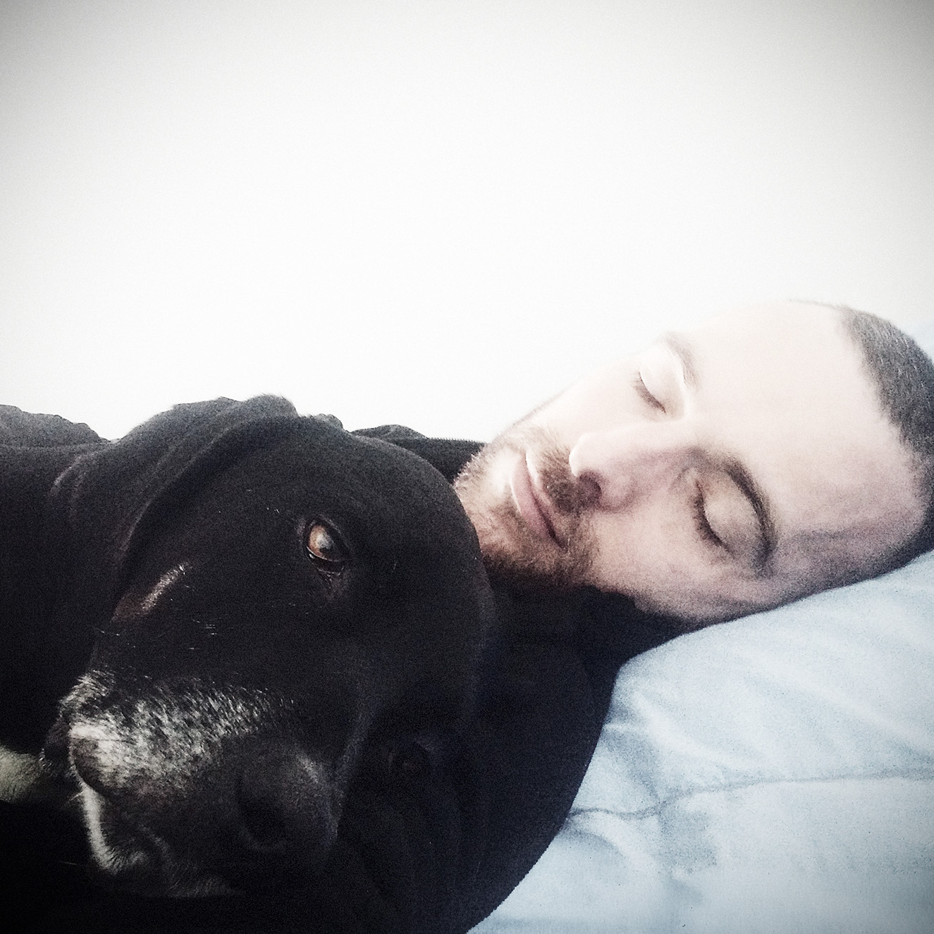 2016.01.24_JF.Spricigo+Polux